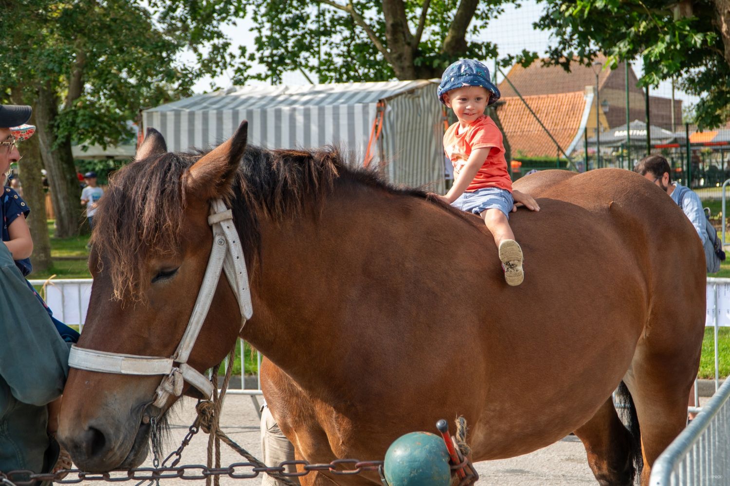 Reportage Karyole Feest 2024 