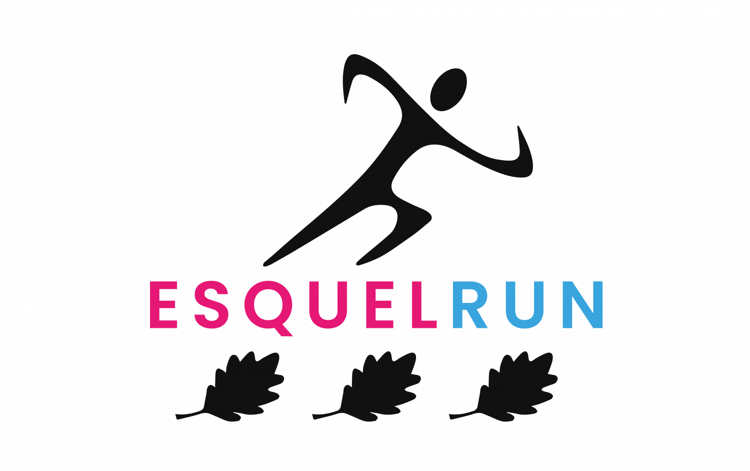 Modernisation du logo EsquelRun 