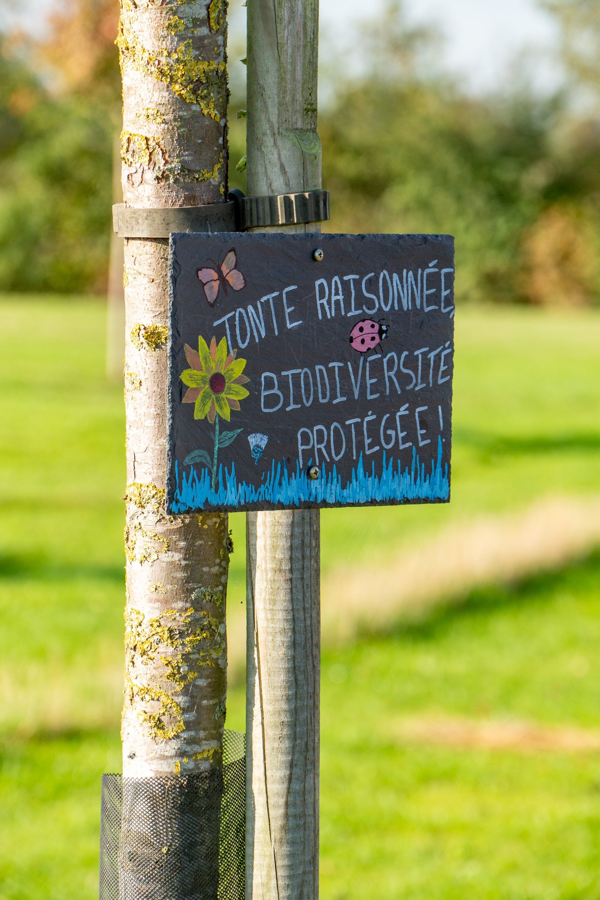 Plus de 4000 photos réalisées sur 3 saisons 