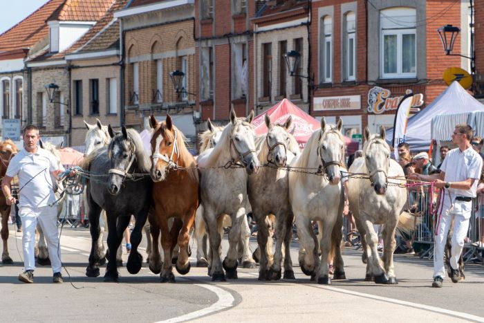 KaryoleFeest 2024 