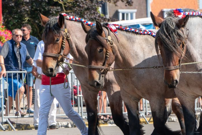 KaryoleFeest 2024 